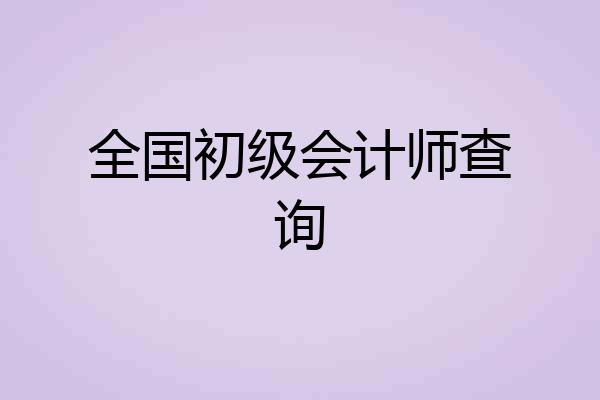 全国初级会计师查询