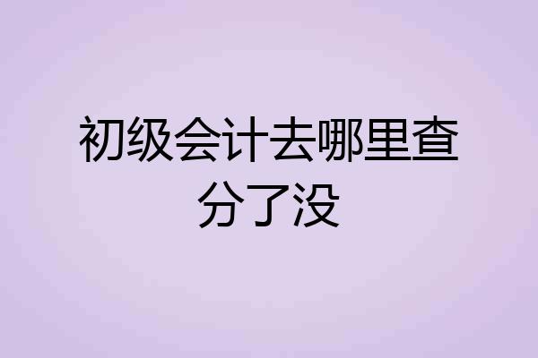 初级会计去哪里查分了没