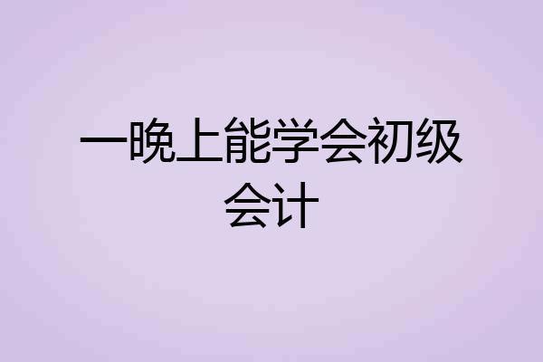 一晚上能学会初级会计