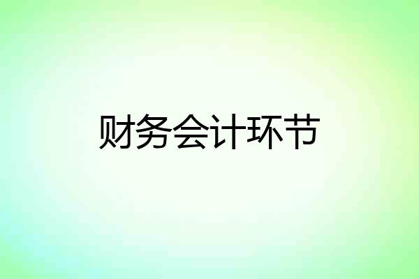 财务会计环节