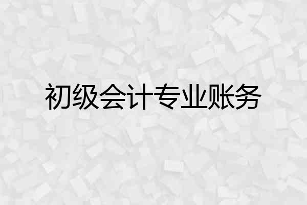 初级会计专业账务