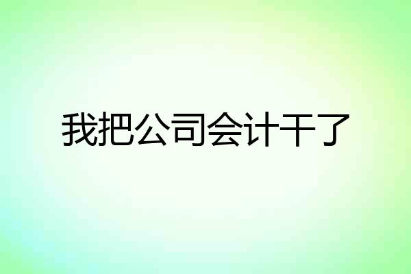 我把公司会计干了