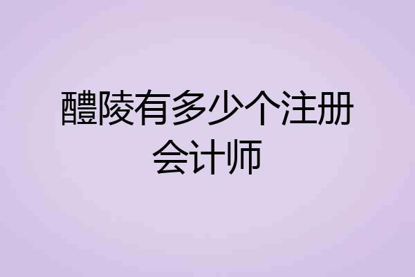 醴陵有多少个注册会计师
