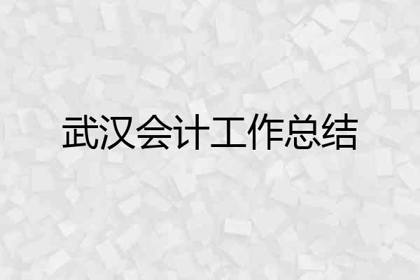 武汉会计工作总结