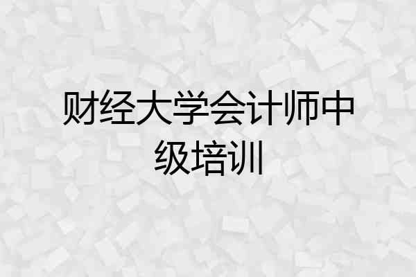 财经大学会计师中级培训