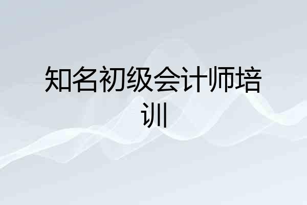 知名初级会计师培训