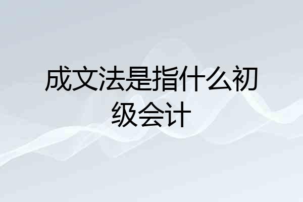 成文法是指什么初级会计