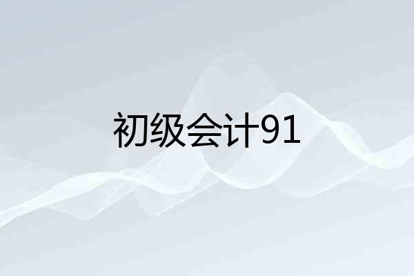 初级会计91