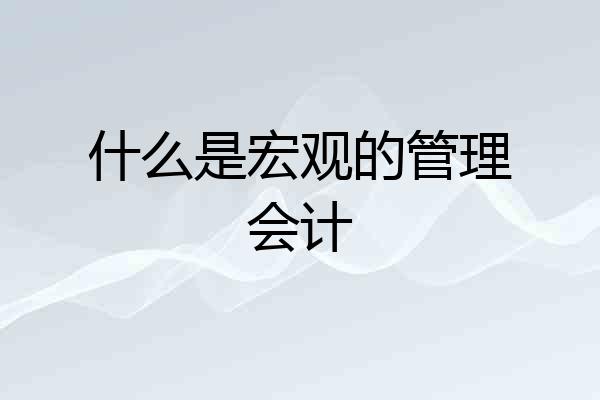 什么是宏观的管理会计