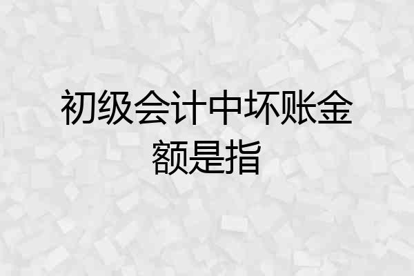初级会计中坏账金额是指
