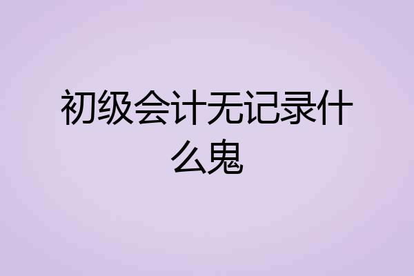 初级会计无记录什么鬼