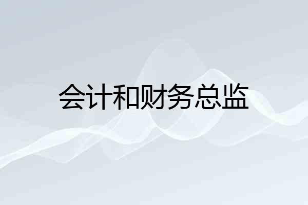 会计和财务总监
