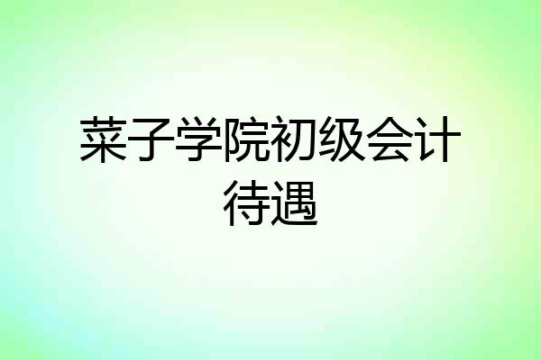 菜子学院初级会计待遇