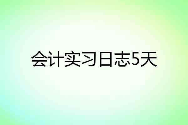 会计实习日志5天