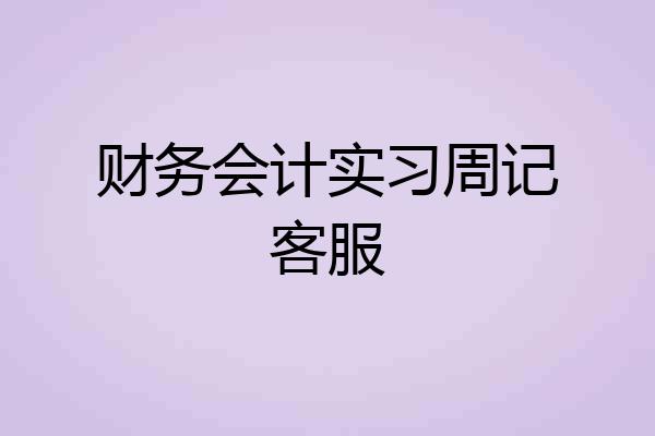 财务会计实习周记客服