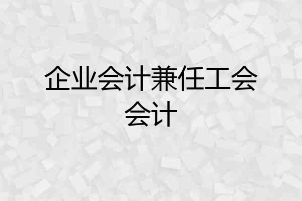 企业会计兼任工会会计