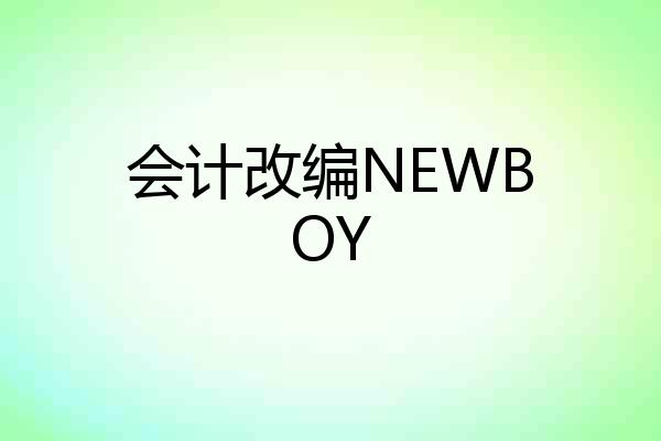 会计改编NEWBOY
