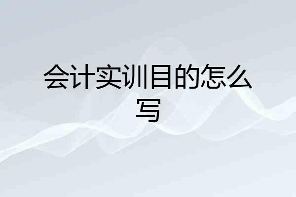 会计实训目的怎么写