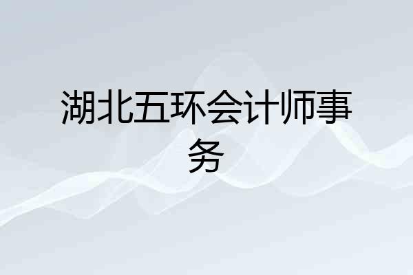 湖北五环会计师事务