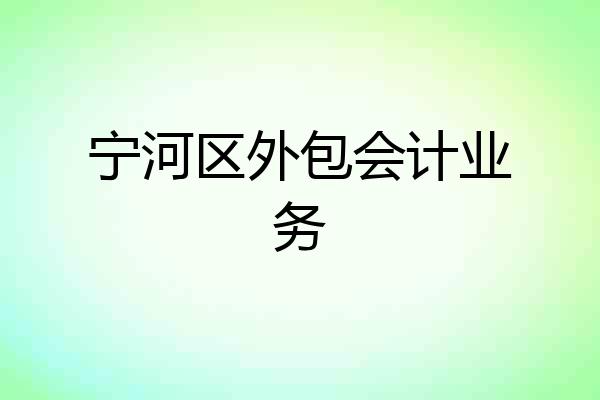 宁河区外包会计业务