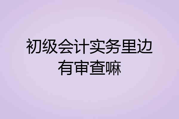 初级会计实务里边有审查嘛