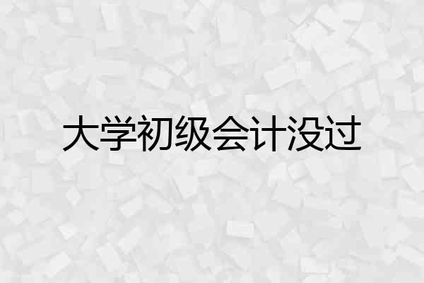大学初级会计没过
