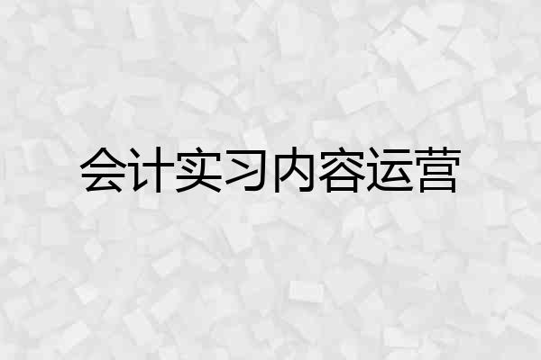 会计实习内容运营