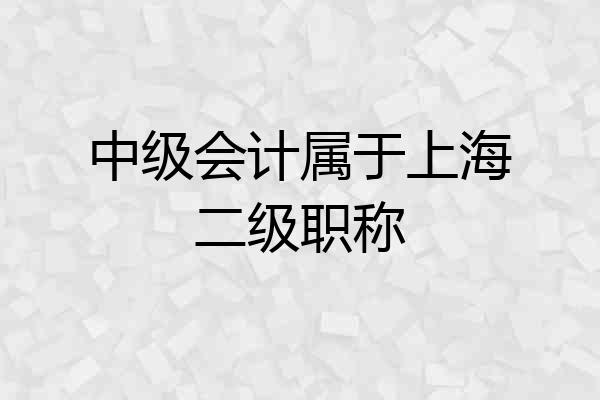 中级会计属于上海二级职称