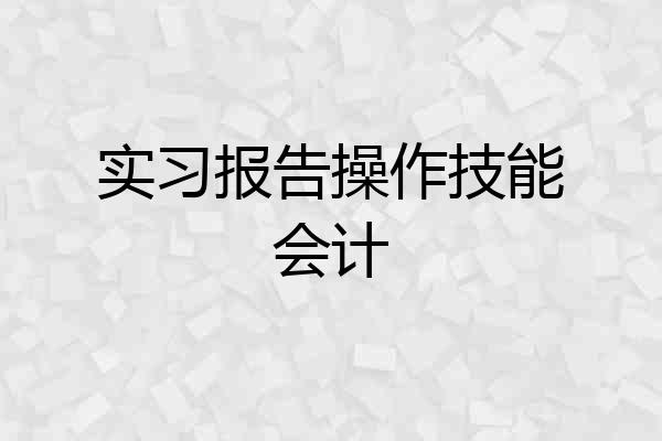 实习报告操作技能会计