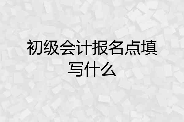 初级会计报名点填写什么