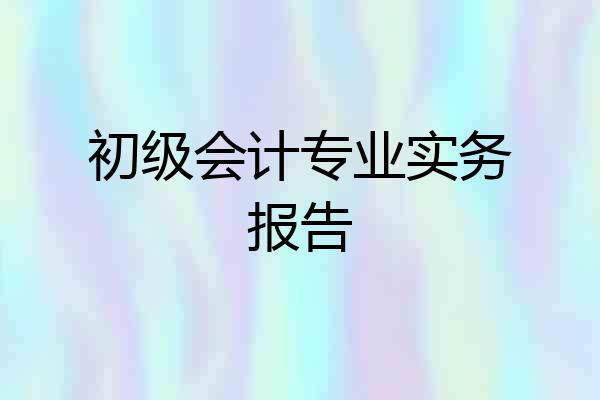 初级会计专业实务报告