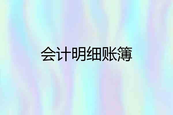 会计明细账簿