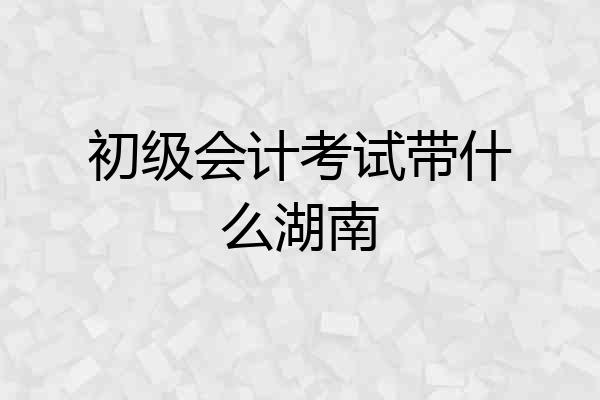 初级会计考试带什么湖南