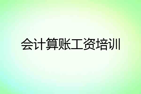 会计算账工资培训