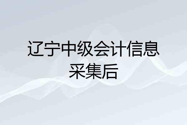 辽宁中级会计信息采集后