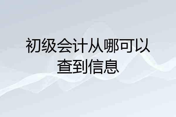 初级会计从哪可以查到信息