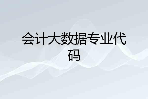 会计大数据专业代码