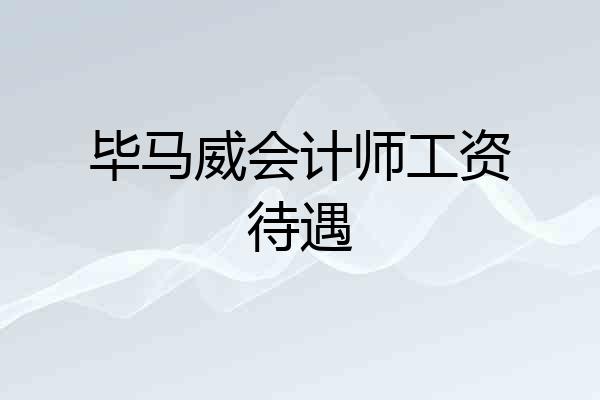 毕马威会计师工资待遇