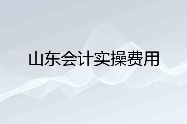 山东会计实操费用