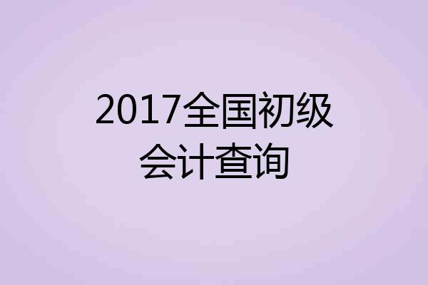 2017全国初级会计查询