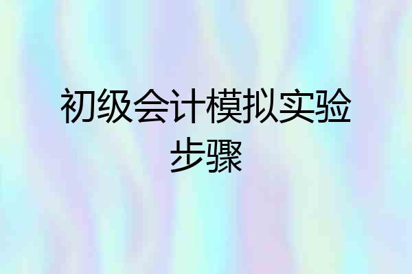 初级会计模拟实验步骤