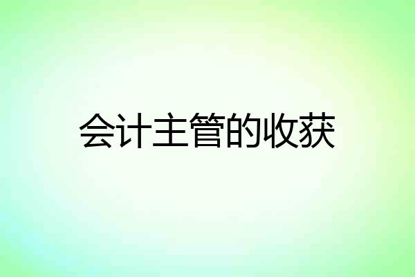 会计主管的收获