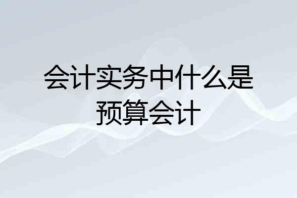会计实务中什么是预算会计