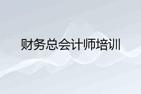 财务总会计师培训