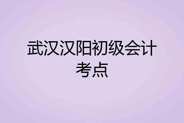 武汉汉阳初级会计考点