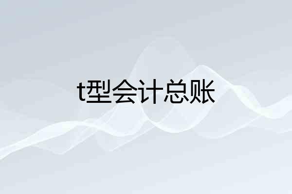 t型会计总账