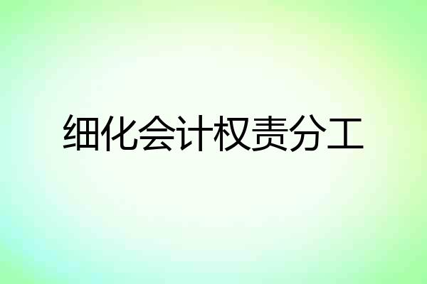 细化会计权责分工