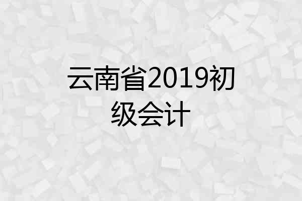 云南省2019初级会计