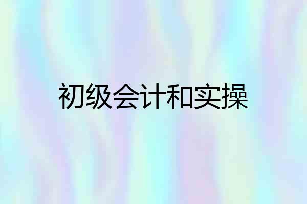 初级会计和实操