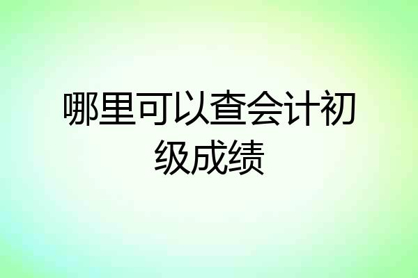 哪里可以查会计初级成绩